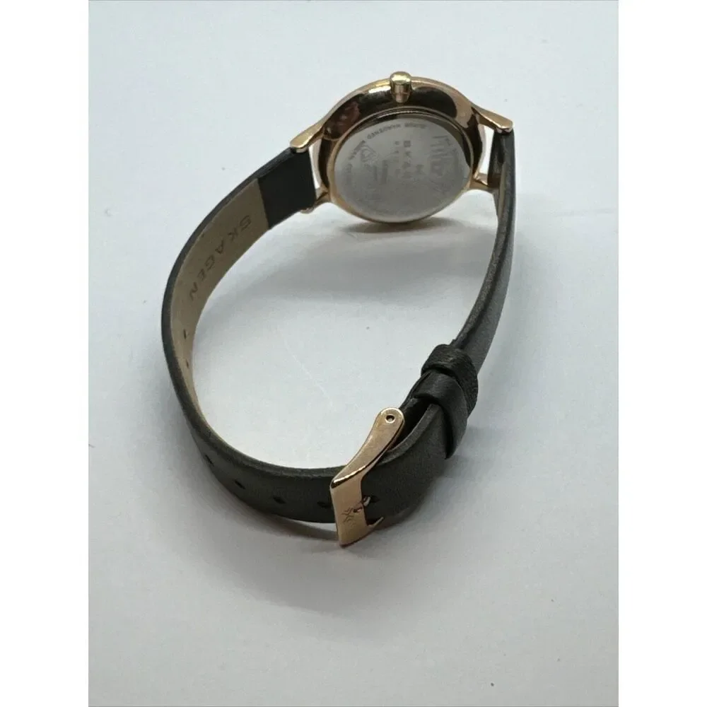 Skagen Anita Lille SKW2267 Women Charcoal Leather Analog Dial Wrist Watch JNA920